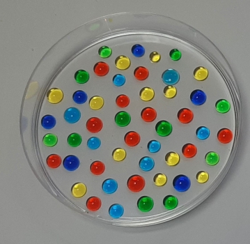 ForscherEcke, Kindergarten, 6 Stationen möglich, inkl. bebilderter Erklärtafeln, myExperimentSet